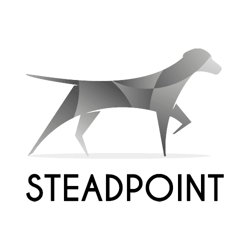 Steadpoint