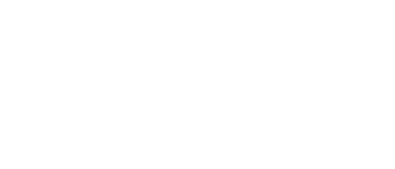博伊尔保险代理公司 - Big I and Insurors of Tennessee Logo