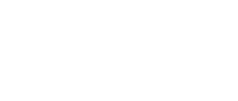 Boyle Insurance Agency, Inc - Big I and Insurors of Tennessee Logo